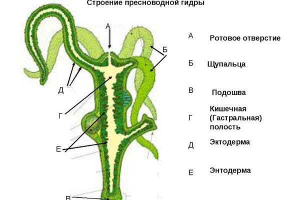 Прямая ссылка на блэкспрут bs2webes net