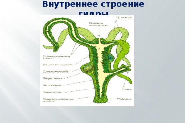 Bs gl официальный сайт blacksprut adress com